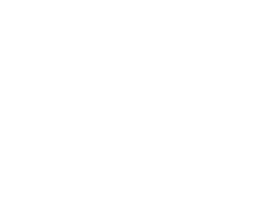 MERAB SEGUROS E INVERSIONES MERAB SEGUROS E INVERSIONES